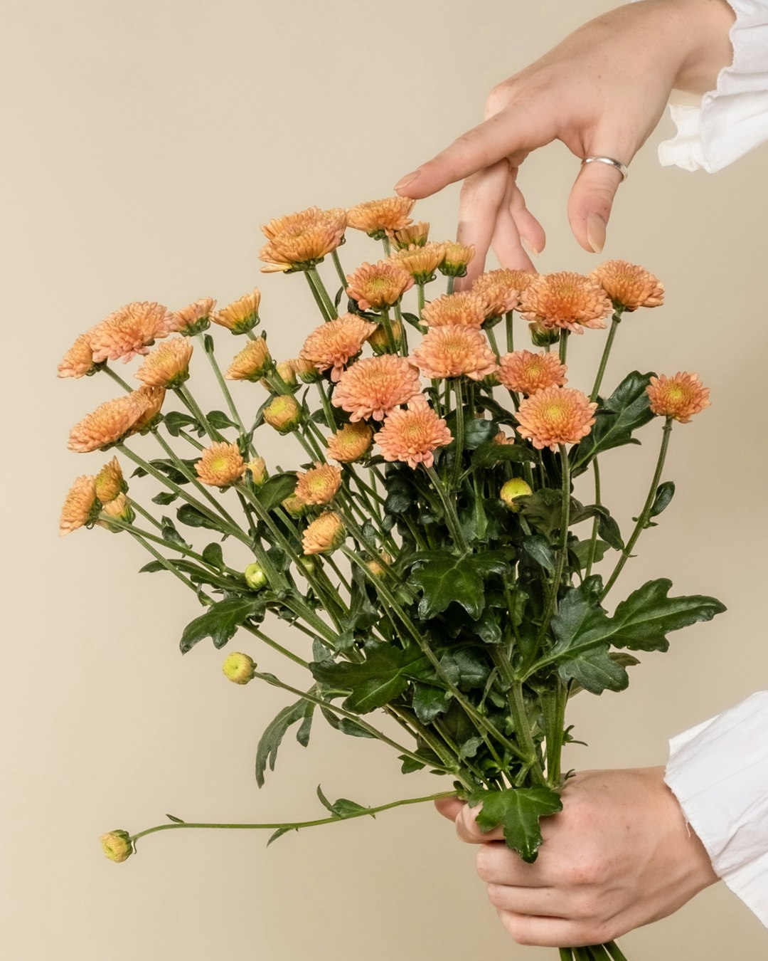 Artisan floral arrangement at Flowers Vibe Studio